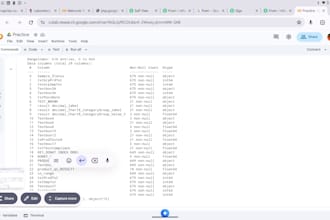 clean,organise and format your excel or CSV data proffesionally