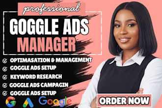 set up and manage highly profitable google ads and PPC campaigns