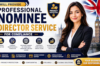professional nominee director service for compliance