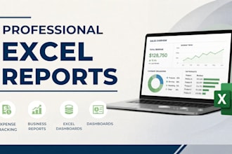 create professional excel reports and expense trackers
