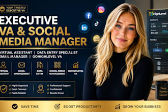 executive social media manager virtueller assistent  dateneingabe e mail ghl VA