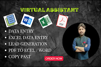 do excel data cleaning, formatting, and b2b lead generation