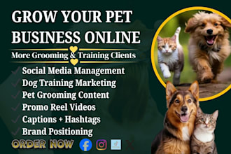 manage your social media and content for dog training and pet grooming business