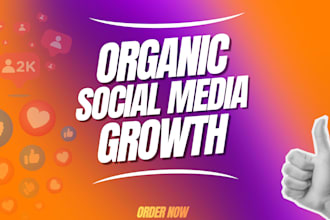 grow organic instagram followers and increase engagement