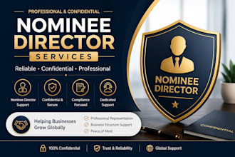 provide professional nominee director service