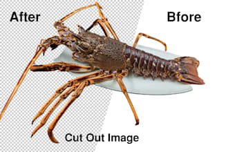 professional cut out image service