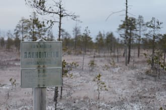 translate anything from finnish to english and vice versa
