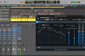 dialogue and vo editor