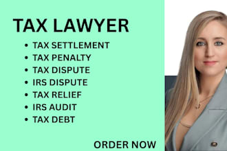 handle tax disputes, irs audits, tax penalties, and tax settlement matters