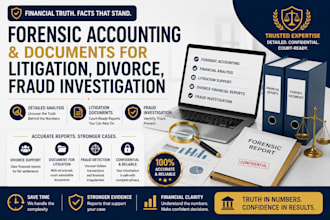 do forensic accounting and document for litigation, divorce, fraud investigation