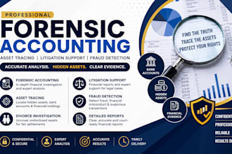 do forensic accounting,asset tracing for divorce, litigation and fraud detection