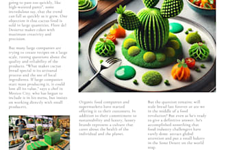 canva invitations an slides