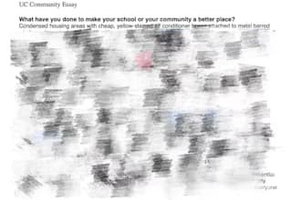 polish your essays, ps and cover letters etc