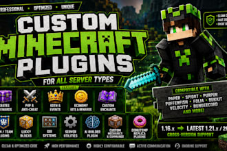 create a professional minecraft plugin, mod or server setups