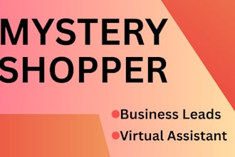 be your professional mystery shopper and customer experience auditor