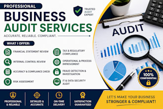 perform a professional financial audit for your business