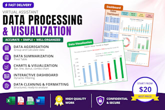 do data processing and visualization using microsoft excel