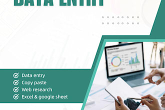 do professinional data entry , copy paste and web research work