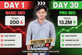 do your you tube SEO and organic video promotion