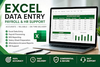 do excel data entry and payroll work
