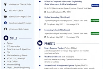 create a professional responsive HTML resume website