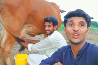 african happy birthday video african happy birthday video