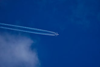 cv review prep and advice