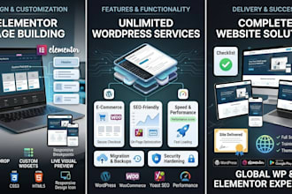 build a professional wordpress or elementor website
