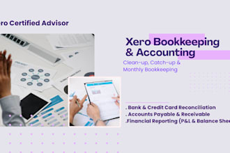 be your expert xero bookkeeper and accountant