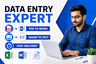 do typing work from pdf, image to world or excel