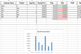 create professional excel invoices and data entry sheets
