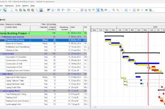 primavera p6 project planning activities