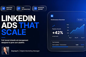 setup and manage linkedin paid ads