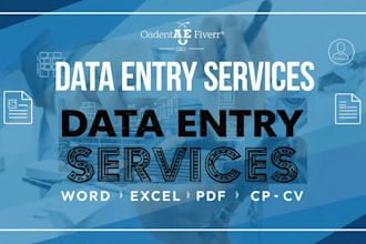 perform accurate data entry in excel and word