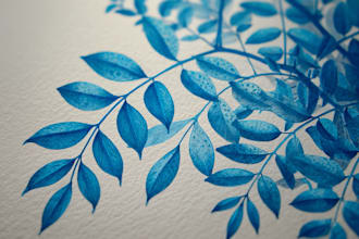 draw a botanical illustration