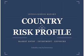 deliver a country risk profile for market entry or investment decisions