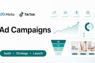 design and manage converting paid social media ads
