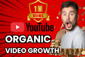 shoutout organic youtube video SEO channel  promotion 1 million people for views