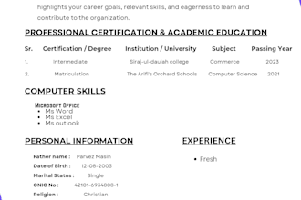 design a professional CV and modern resume writing