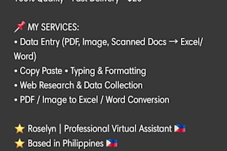 do fast and accurate data entry, copy paste  and web research