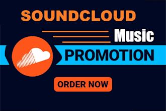 run professional soundcloud track promotion, organic music promotion