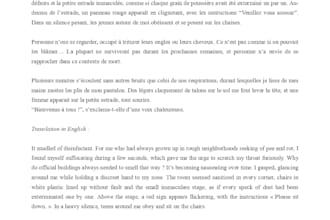 translate a wide variety of texts for social media, articles