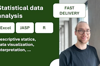 provide professional statistical analysis in r, python and excel