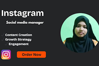 be your instagram social media manager