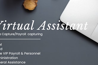 do professional data entry and payroll data capturing