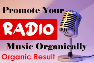 professional and officially do a radio promotion for your music