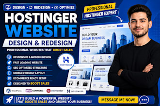 develop hostinger website redesign hostinger SEO ecommerce landing page expert