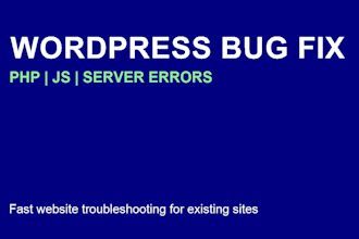 fix website bugs errors and server issues