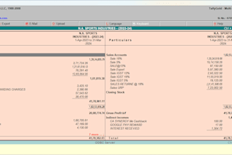 do bookkeeping, accounting, and gst tally, financial report