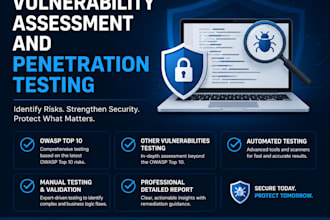 do vulnerability assessment and penetration testing with a professional report
